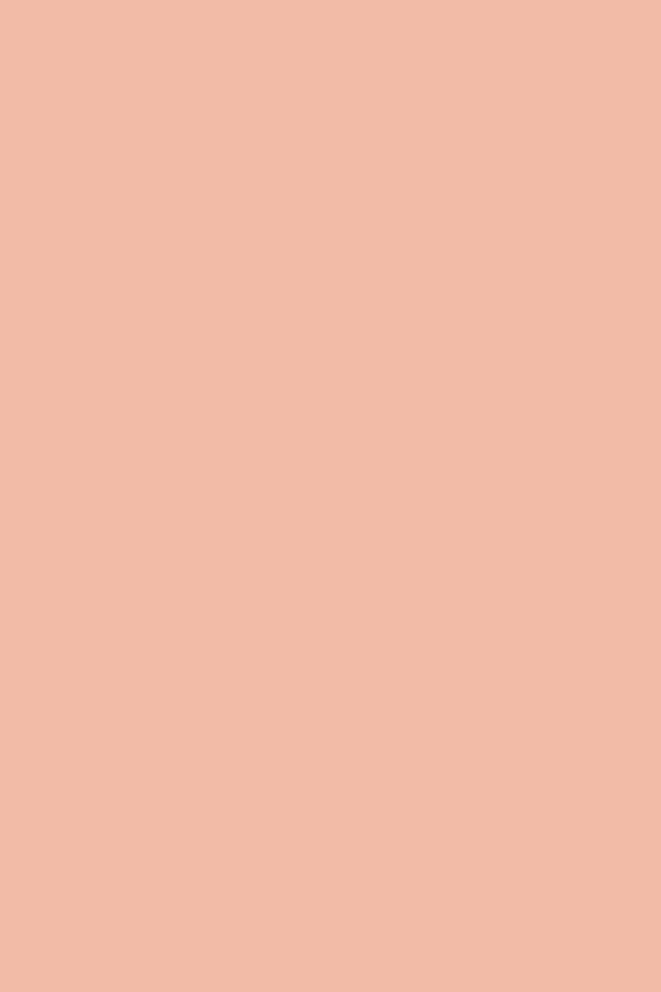 Pastel Peach  - Maternity Backdrops- Fabric (Pre-Order)