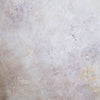 Pluto - Baby Painted Backdrops