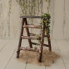 Rustic Log Ladder