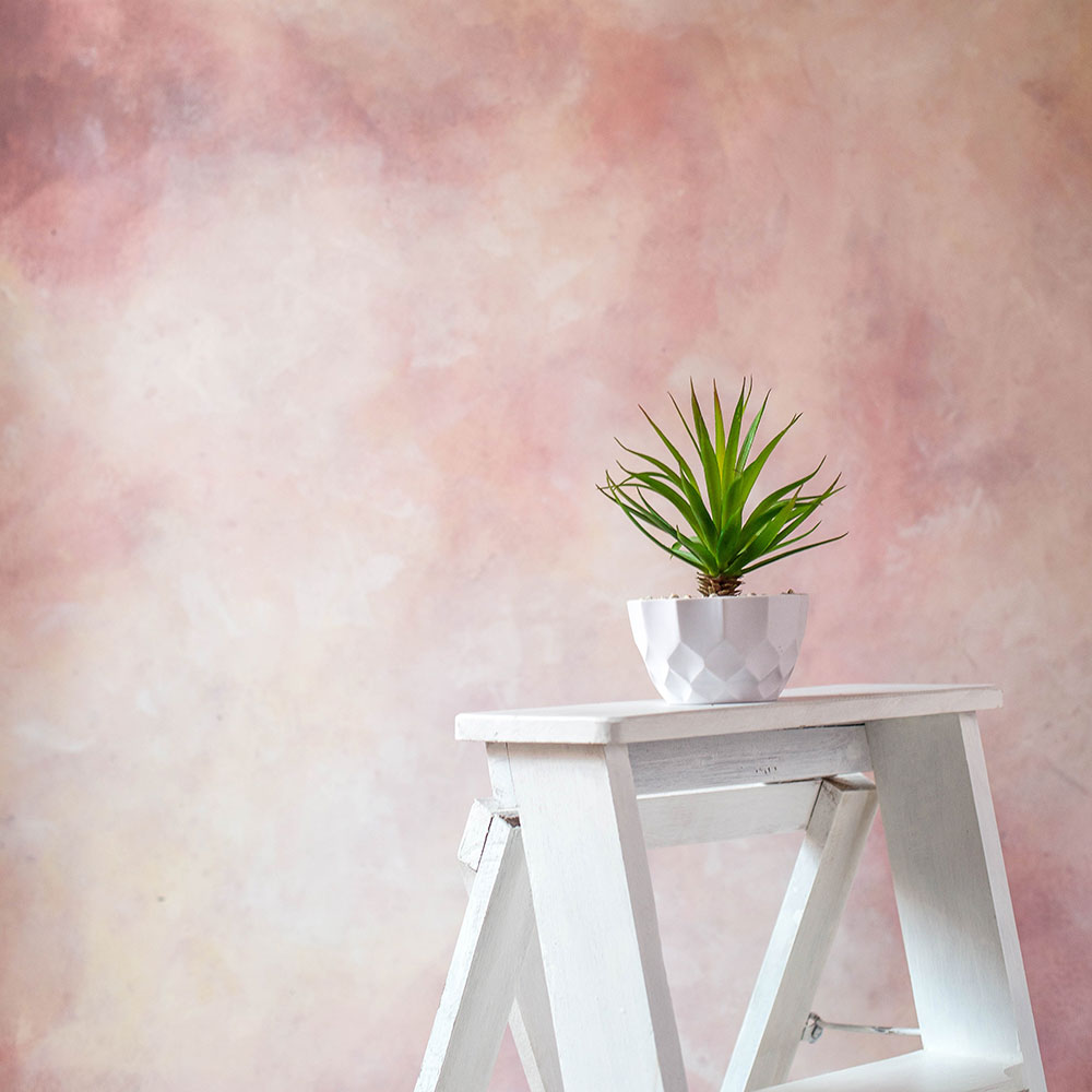 Strawberry Canvas - Baby Painted Backdrops