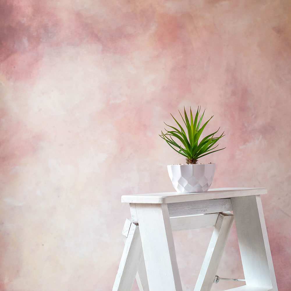 Strawberry Canvas : Painted Fashion Backdrops