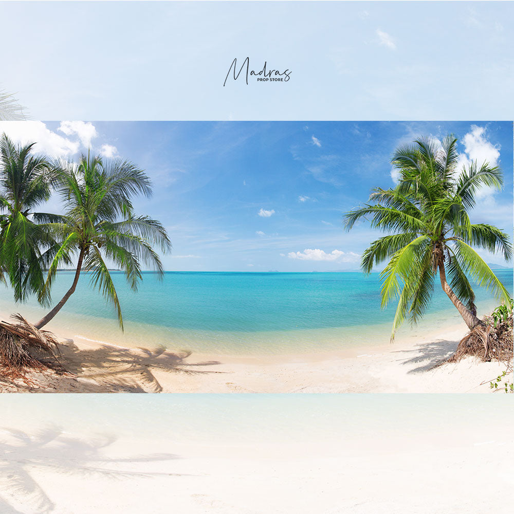 Tropical Beach : Baby Backdrops