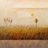 Wheat field - Printed Backdrop - Fabric - 5 by 7 feet