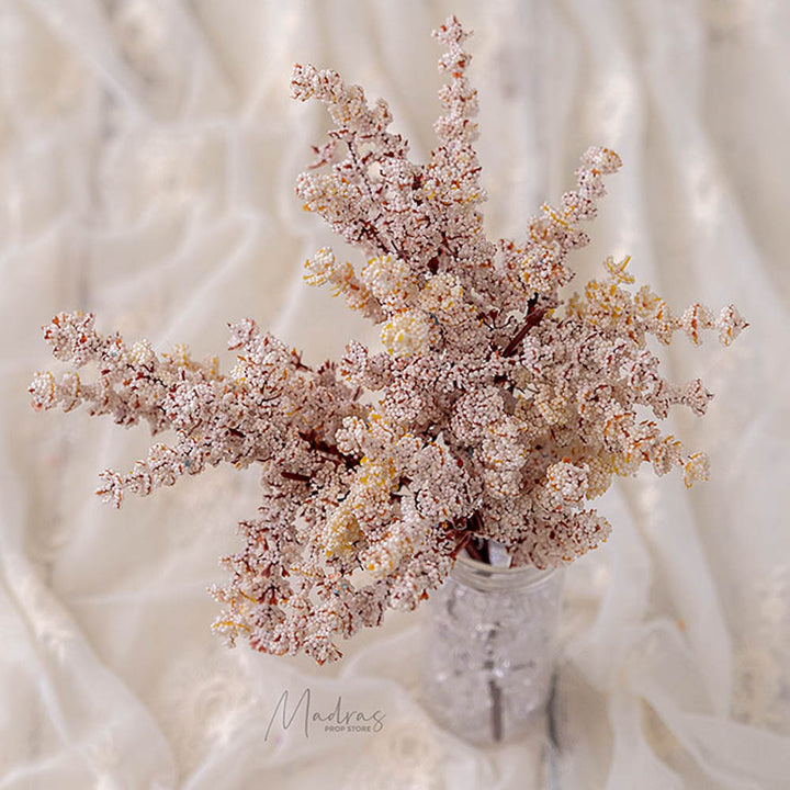 Snow Flowers : Baby Props