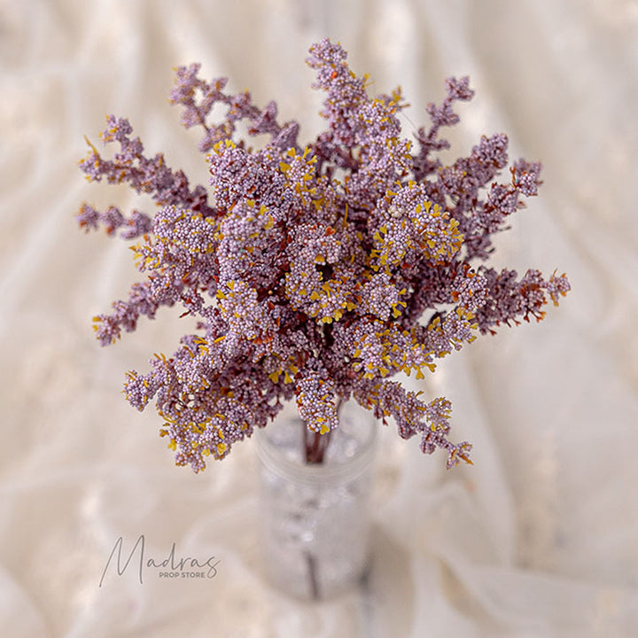 Snow Flowers : Baby Props