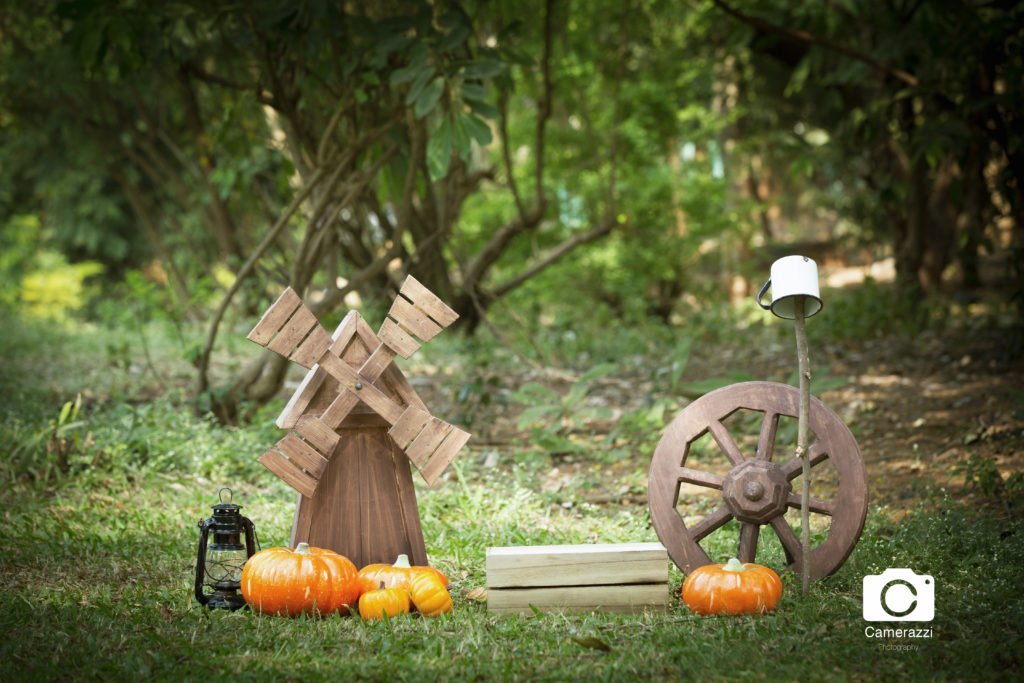 Cart Wheel : Baby Props