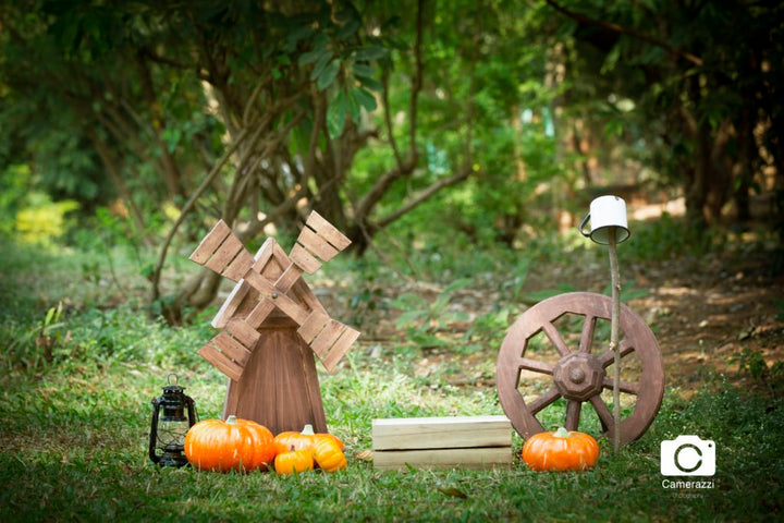 Cart Wheel : Baby Props