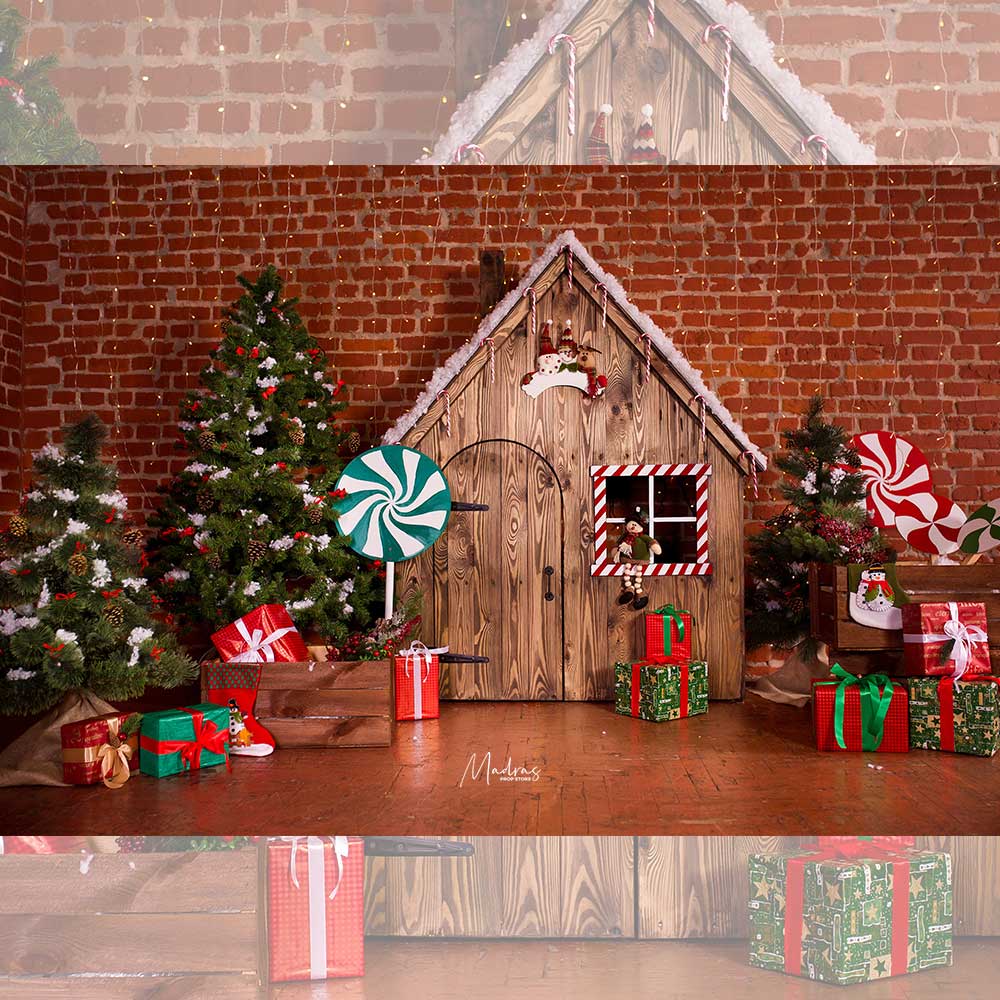 Xmas House : Baby Backdrops