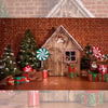 Xmas House - Baby Printed Backdrops