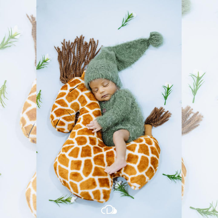 Giraffe Posing Pillow