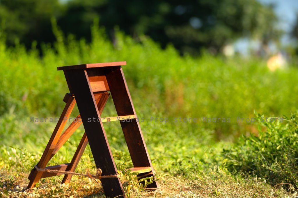 Mini Ladder | Madras Prop Store