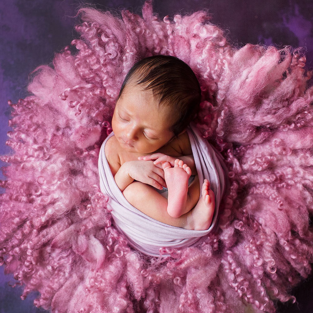 Purple Violet Canvas - Baby Painted Backdrops