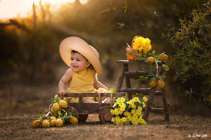 Rustic Log Ladder : Baby Props