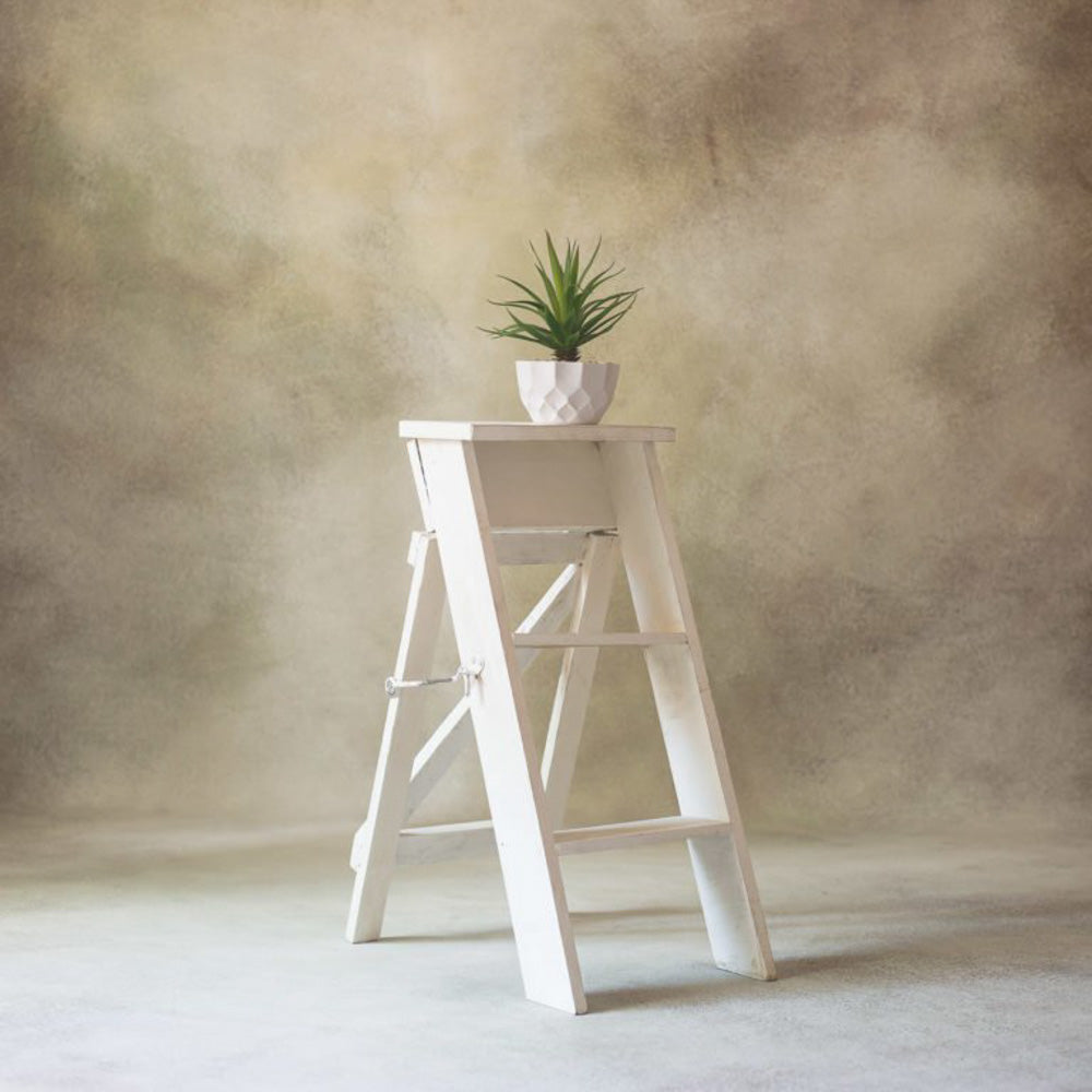 Mini Ladder | Madras Prop Store
